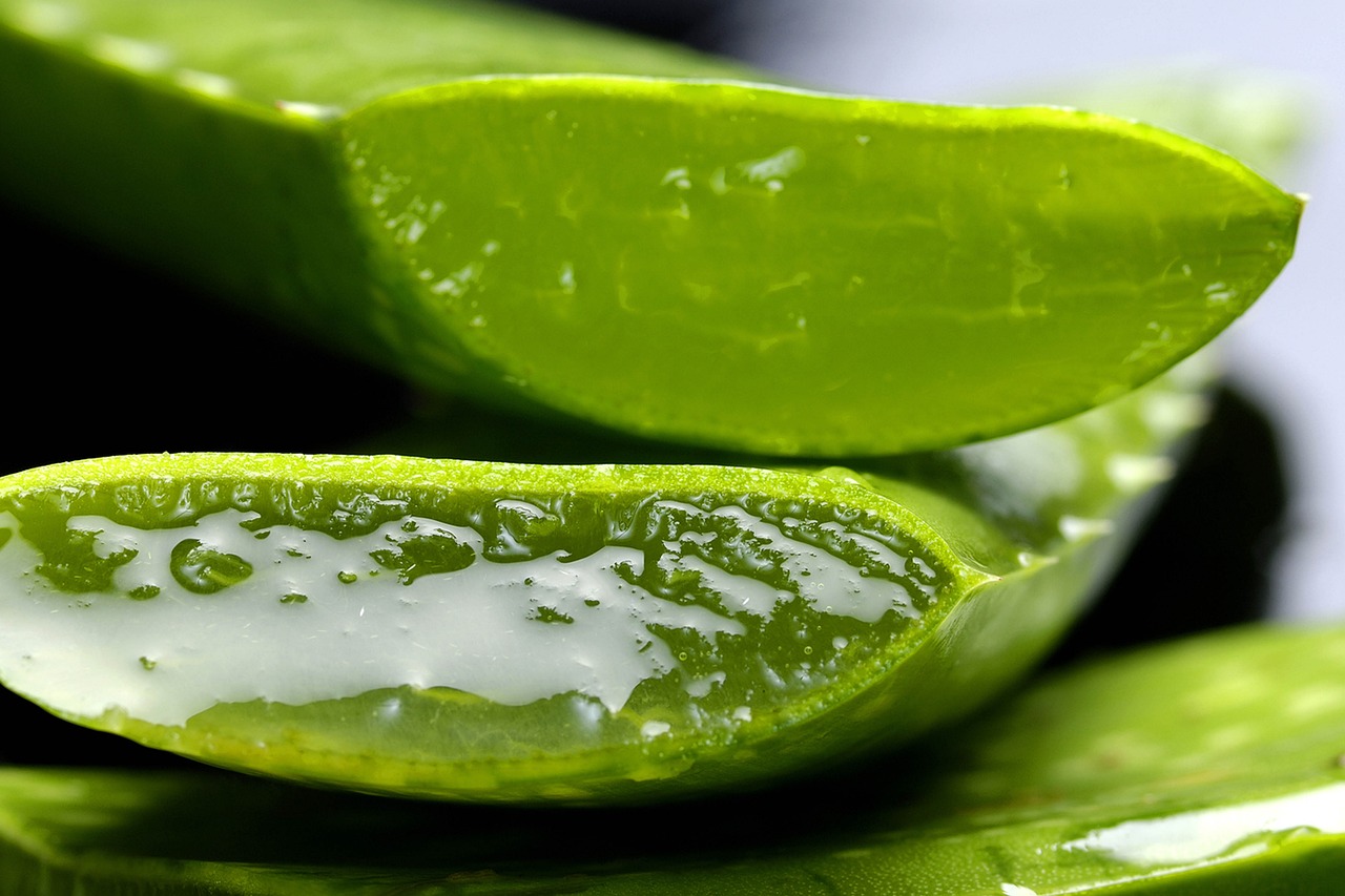 Aloe vera health benefits.