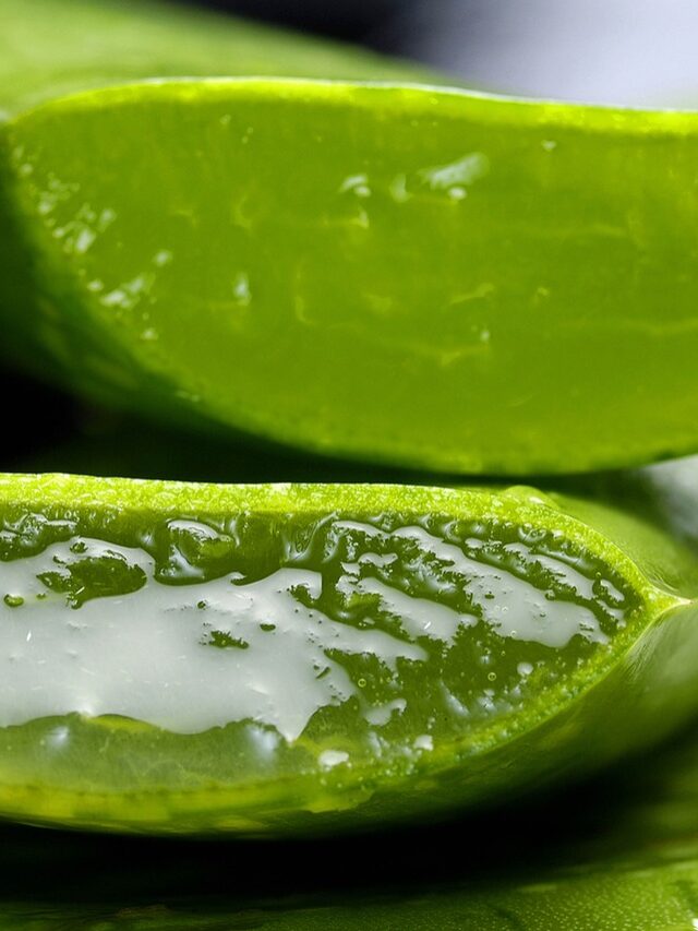 7 uses of aloe vera for skin.