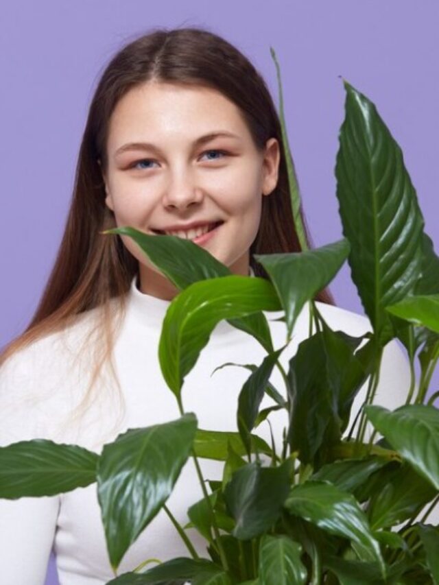 Top 5 Plants That Are Good For Your Skin.